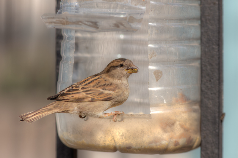 junk removal furniture disposal